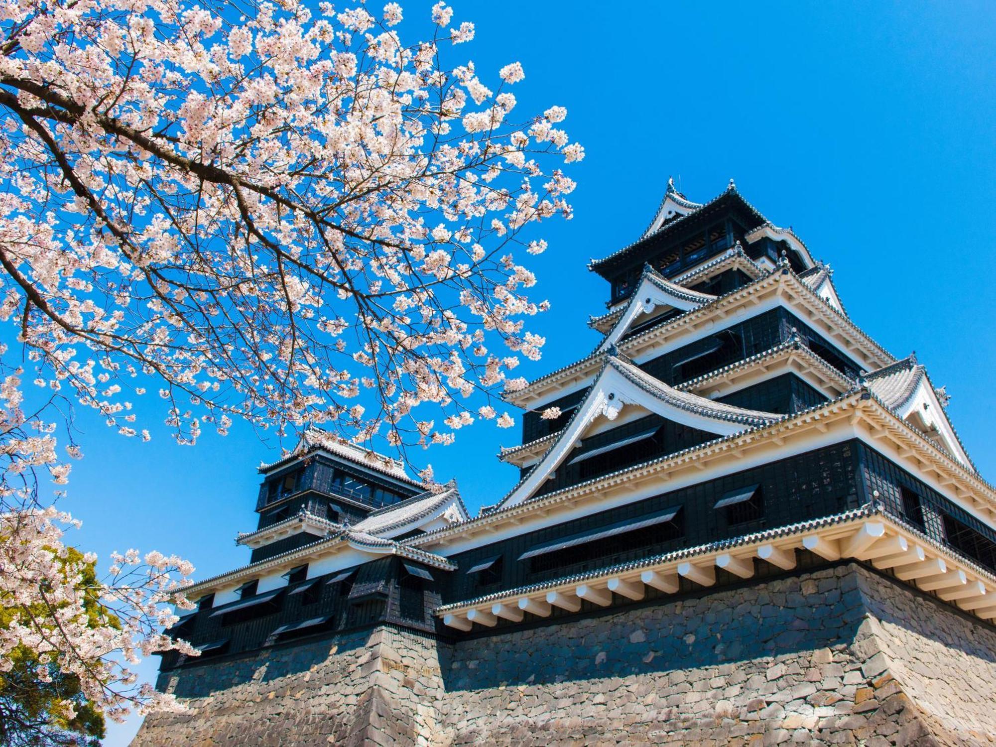 Kumamoto Hotel Castle Extérieur photo